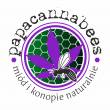papacannabees miód i konopie naturalnie