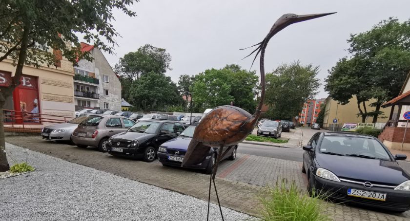 Szczecinek, miasto... żurawi. Są już w samym centrum miasta