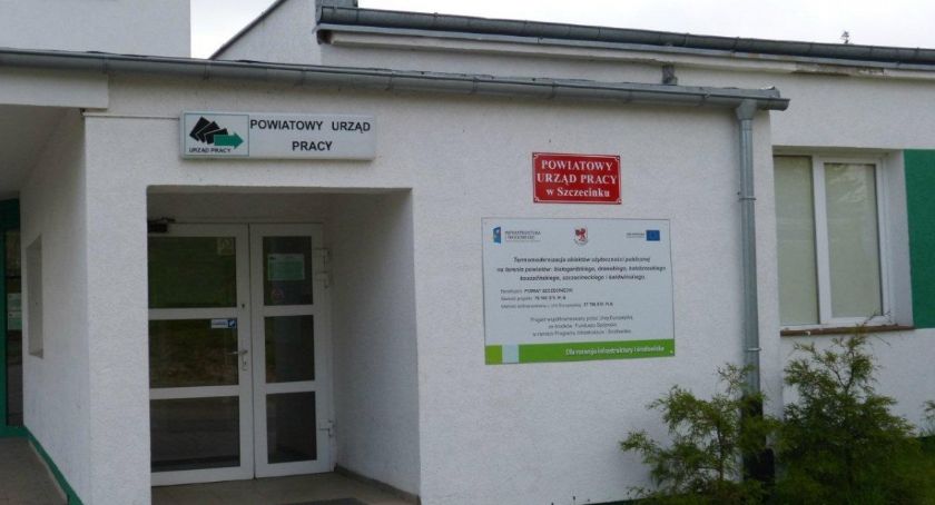 Drwal, kucharz, kierowca, psi fryzjer. Oferty pracy w Szczecinku