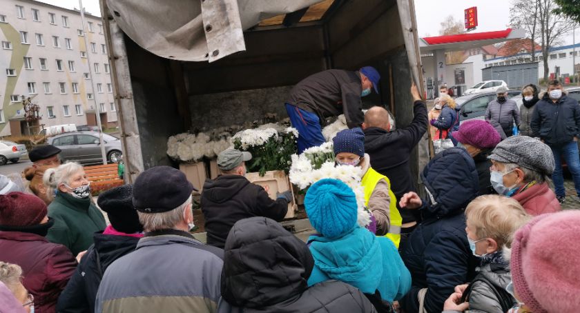 W Szczecinku chryzantemy za darmo, więc biorą wszyscy