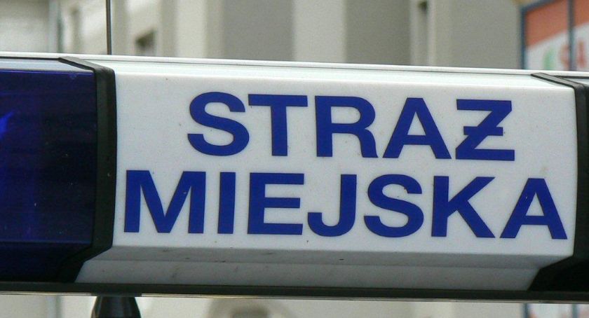 Praca w Szczecinku, oferty. Strażnik miejski, kierowca, nauczyciel