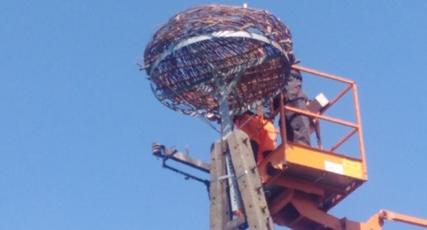 Energa zrobiła w Turowie bocianom nowe gniazdo. Foto: Czytelnik