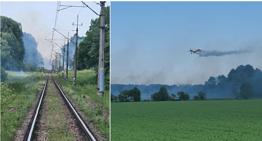 Ogromny pożar w okolicach Grzmiącej. Kilkanaście zastępów straży pożarnej w akcji/OSP Barwice