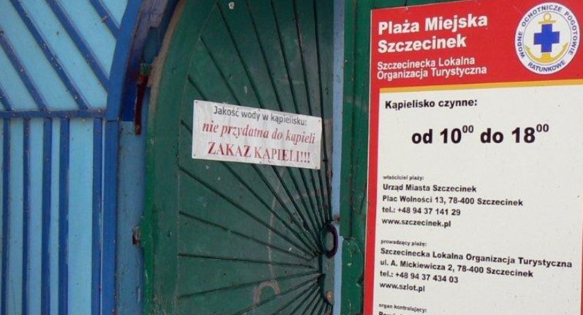 Jezioro Trzesiecko w Szczecinku znowu zakwitło. Plaża miejska z zakazem kąpieli