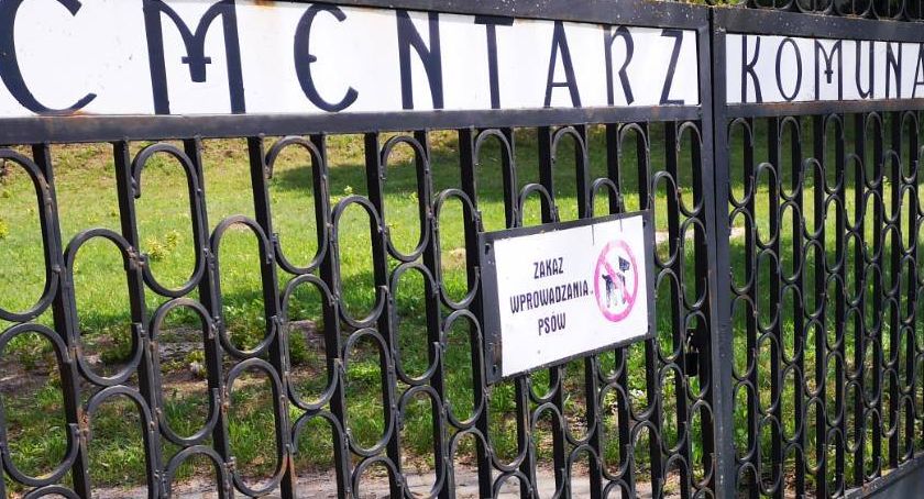 Kto przyprowadza psy na cmentarz? Mieszkanka: To ludzie bez grama szacunku i kultury osobistej