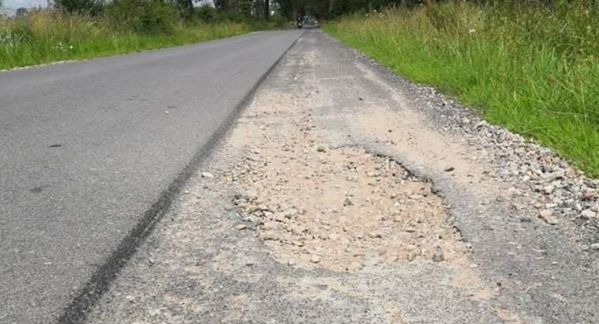 Pobocze drogi Turowo - Wilcze Laski / fot. Czytelniczka
