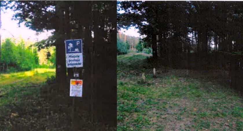 O mandacie za wjazd do lasu i znaku, który znikł