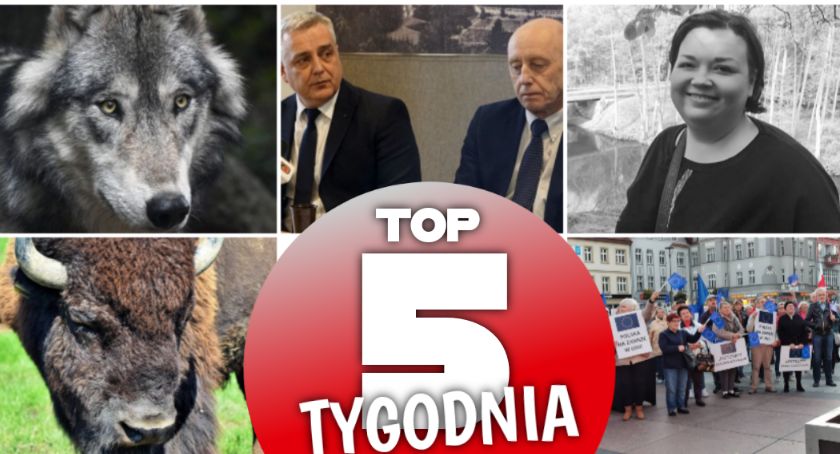 TOP 5 najchętniej czytanych artykułów tygodnia