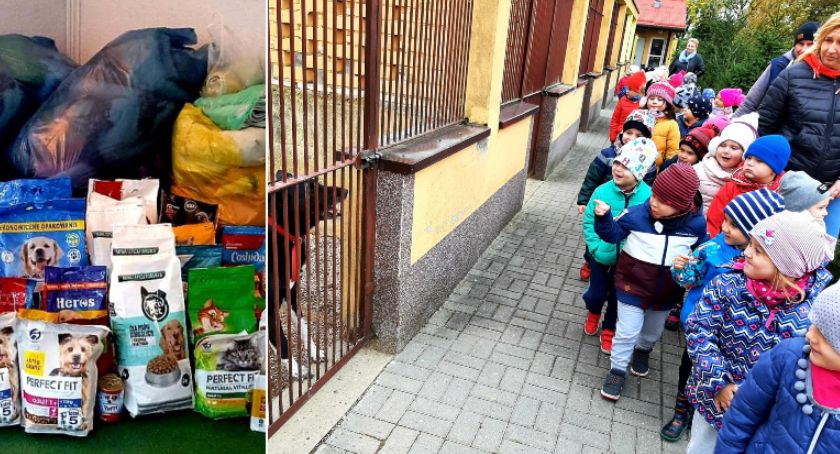 Dzieci z Krasnoludka w szczecineckim schronisku