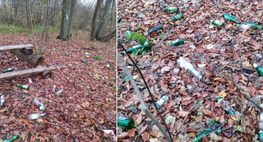 Miejsce pielgrzymek sceną libacji alkoholowych