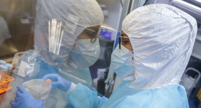 Dwa lata od wybuchu pandemii Covid-19 wciąż nie wiadomo, skąd wziął się koronawirus/PAP