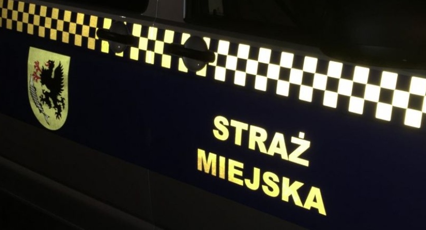 Biegał z opuszczonymi spodniami, skopał przystanek, znak i skrzynkę