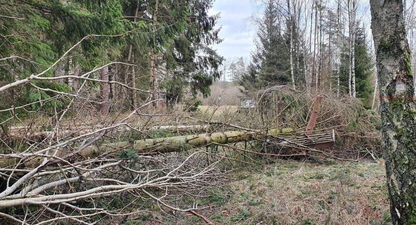 Ogromne zniszczenia w lesie. Leśnicy ostrzegają przed skutkami wichury