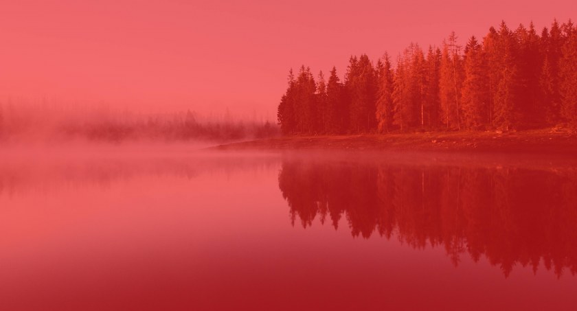 fot: Pexels / Sebastian Beck