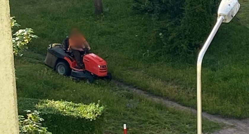 Koszenie trawy o 6:30. Mieszkaniec: Nie da się słuchać tego wycia / fot. Czytelnik