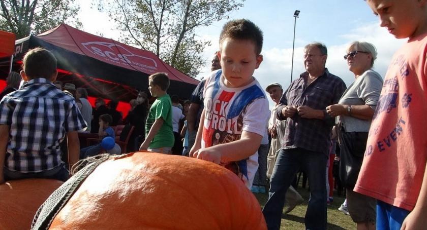 Zdjęcie: Jej Wysokość Dynia zaprasza na piknik w Radaczu