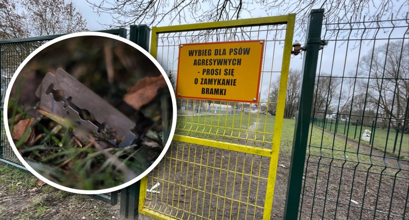 Zdjęcie: Wybieg dla psów przy ul. Wodociągowej