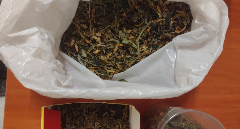 zdjęcie: Marihuana / fot: KPP Szczecinek