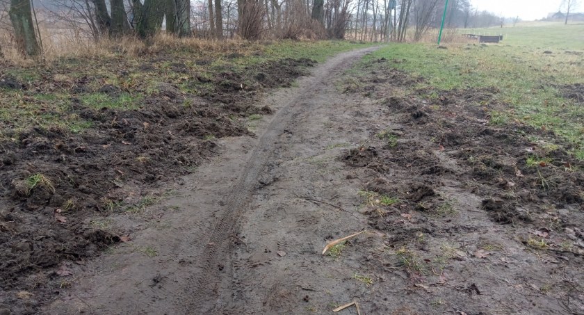 zdjęcie: ścieżka rowerowa wokół jeziora Trzesiecko
