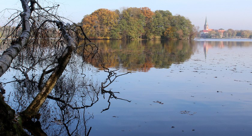 zdjęcie: Wyspa na jeziorze Trzesiecko