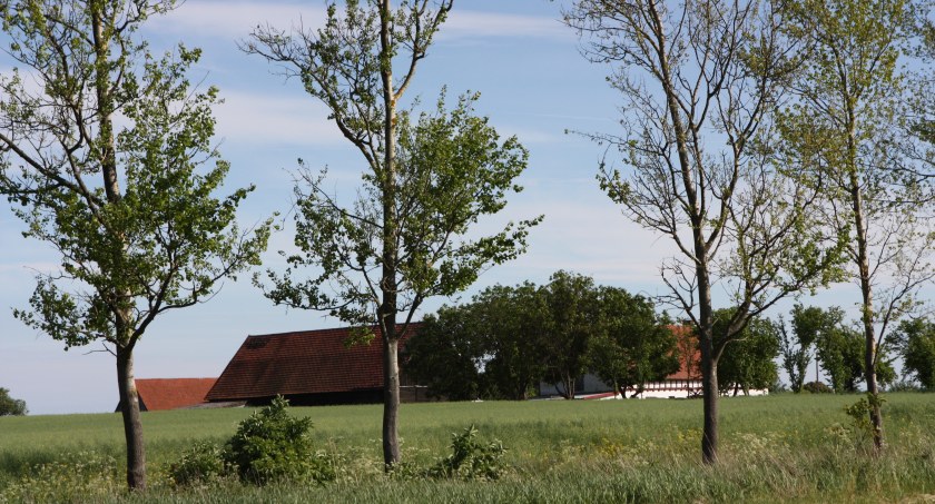 zdjęcie: Wojnowo, gm. Szczecinek