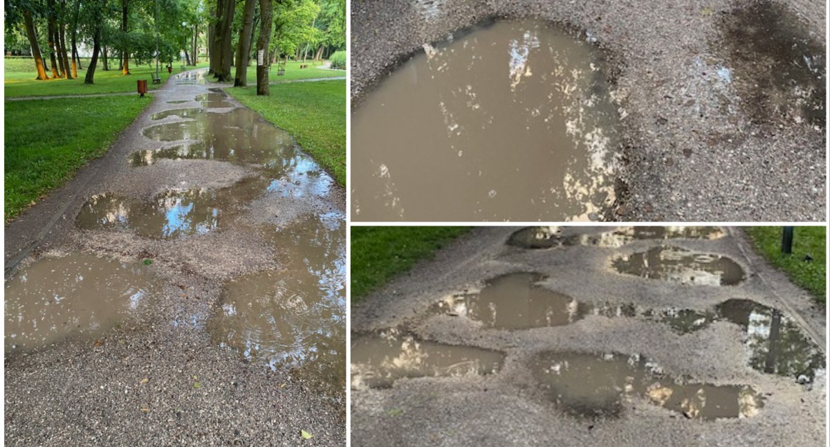 Wasz Temat, Alejki parku bywają nieco dziurawe Czytelnik poprawki - zdjęcie, fotografia