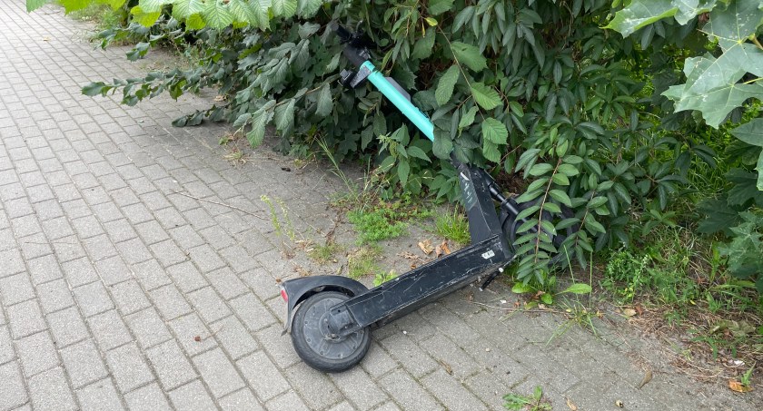 Zdjęcie: Hulajnoga porzucona przy krzakach