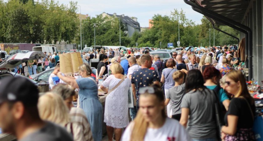 Aktualności, Kiedy wrześniowy pchli - zdjęcie, fotografia