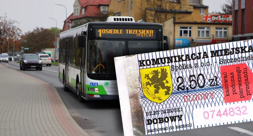 Zdjęcie: P. Witczuk