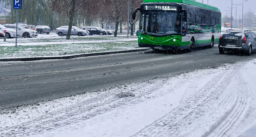 Aktualności, zaskakuje drogowców Trzeba poczekać według kolejności - zdjęcie, fotografia