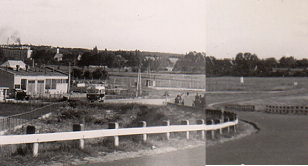 Historia, Zamiast fasolowe tyczki - zdjęcie, fotografia
