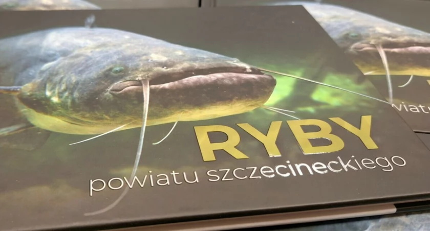 zdjęcie: książka 