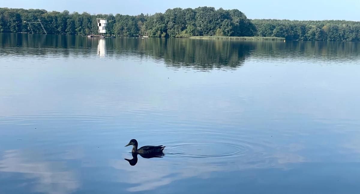 zdjęcie: jezioro Trzesiecko z pływającym aeratorem