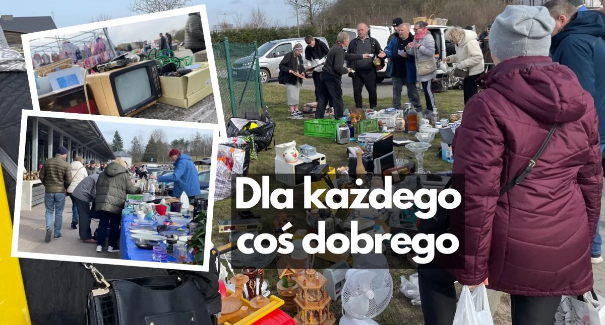 Zdjęcie: P. Witczuk