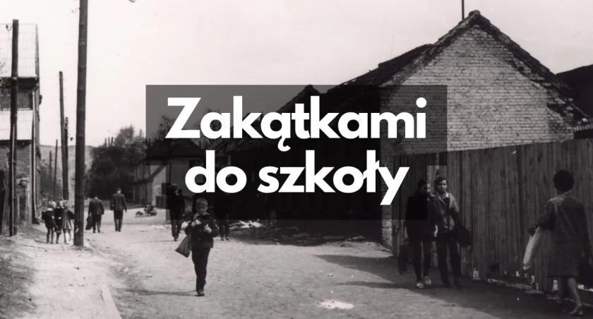 Historia, Niedaleko handlowano wprost wozów - zdjęcie, fotografia