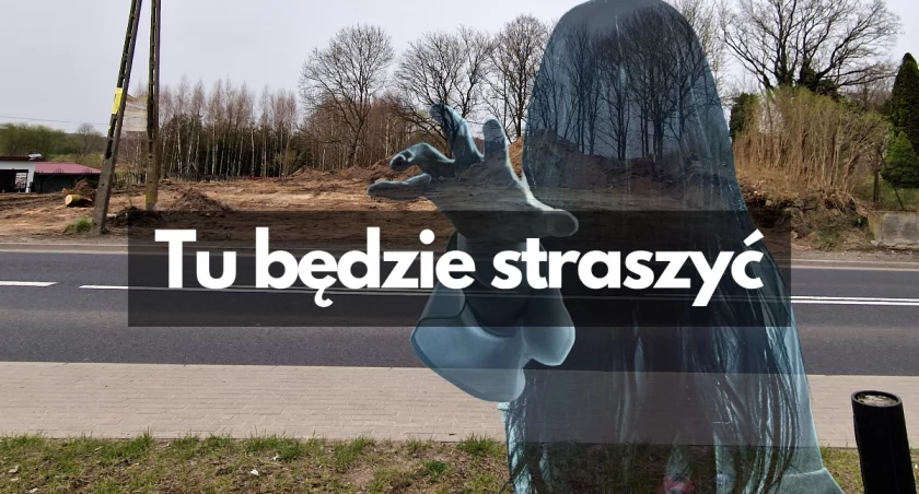Aktualności, Cmentarza można budować [aktualizacja] - zdjęcie, fotografia