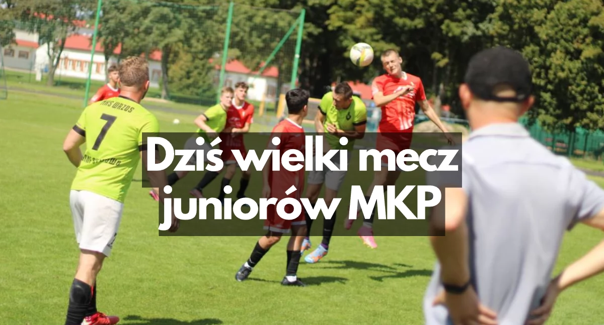 Zdjęcie: P. Witczuk