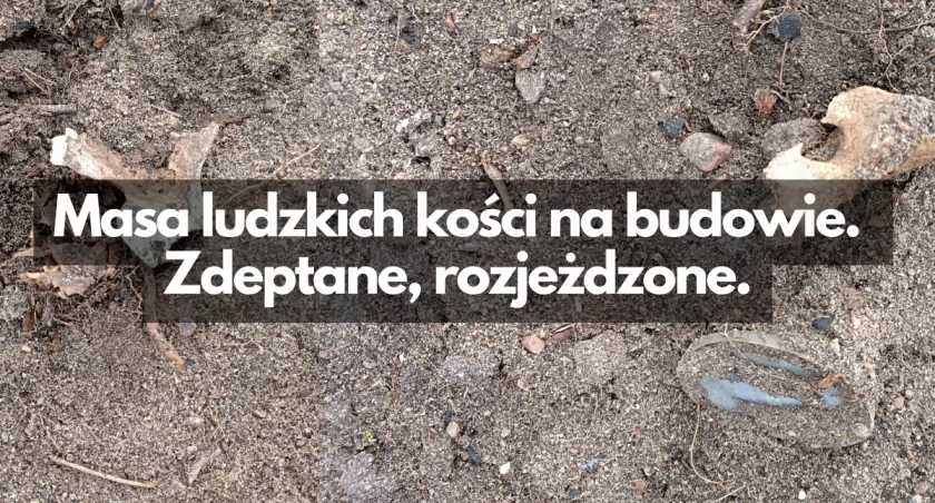 zdjęcie: kości na terenie zrównanego pod budowę cmentarza w Gwdzie