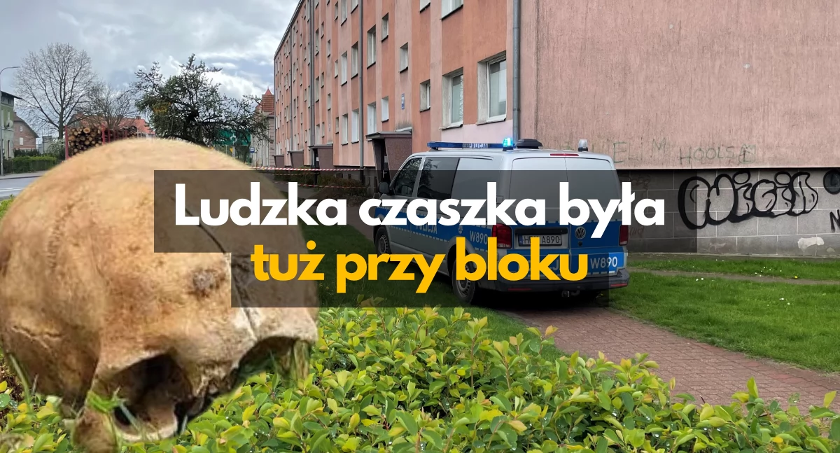fot: Czytelnik / Jerzy Gasiul