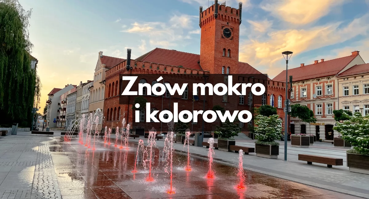 Zdjęcie: P. Witczuk