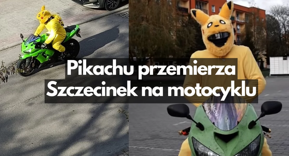 Zdjęcie: Czytelnicy; TikTok