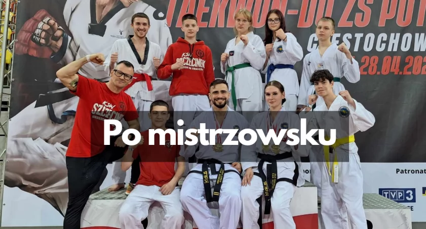 kickboxing, złota jeden brąz walczy - zdjęcie, fotografia