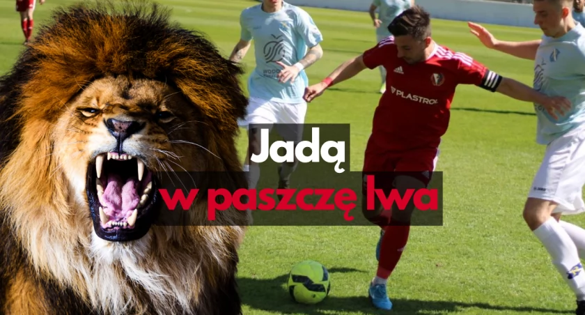 Zdjęcie: P. Witczuk