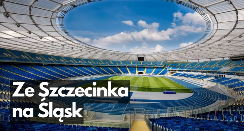 Zdjęcie: Stadion Śląski w Chorzowie/ fot. Park Śląski