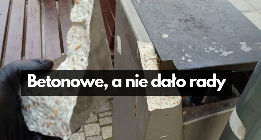 fot: Straż Miejska