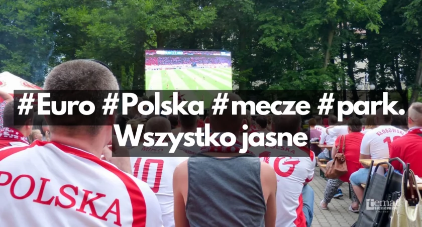 Zdjęcie: Strefa przy muszli w 2016 roku / fot. P. Witczuk