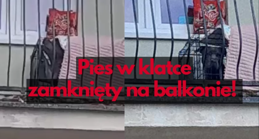 Zdjęcie: Facebook
