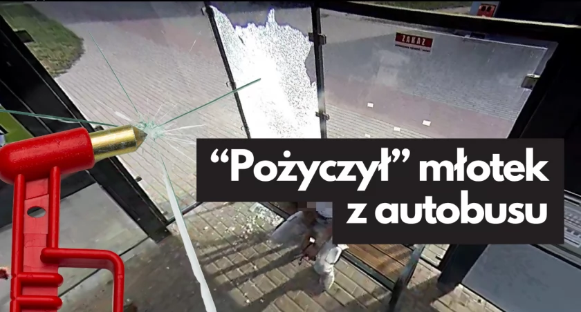 zdjęcie: Pobita szyba na przystanku autobusowym / monitoring SM