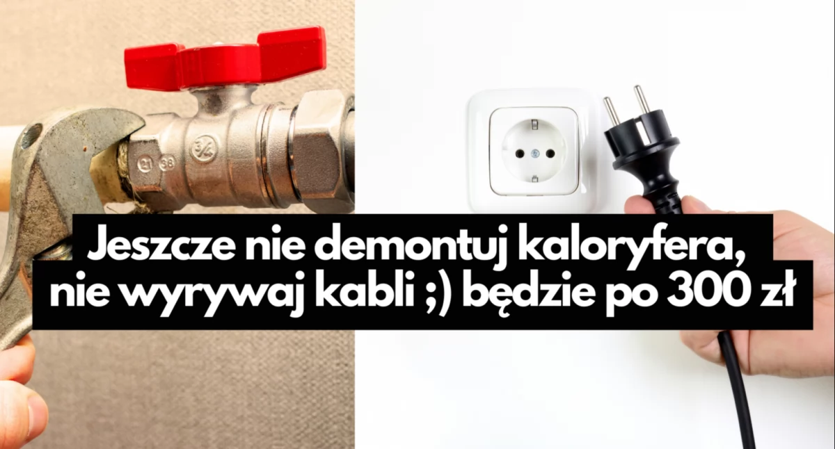 Aktualności, Podwyżki energii energetyczny mały cukierek - zdjęcie, fotografia