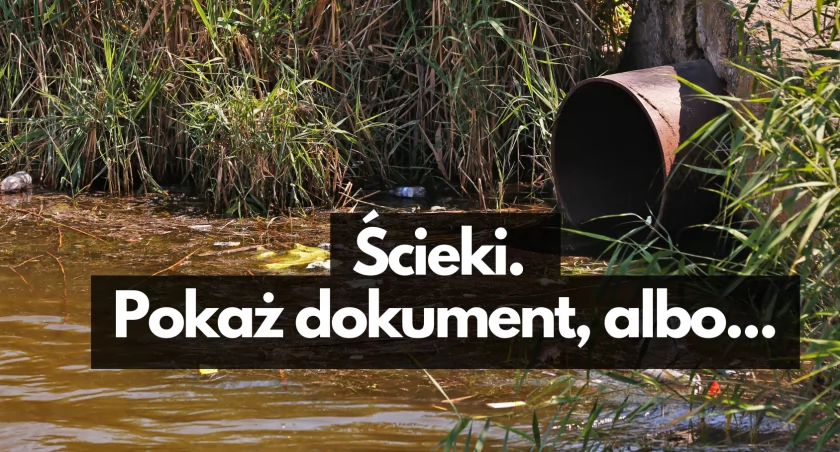 foto: Stock